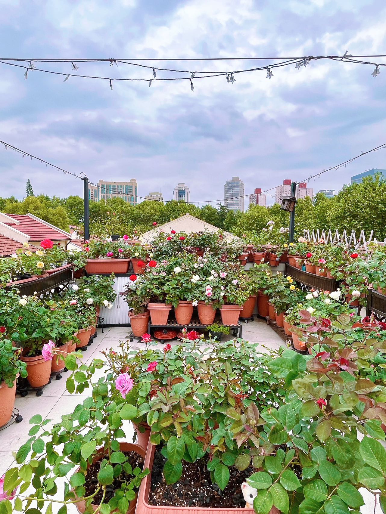 宁村最美整栋带40平大露台