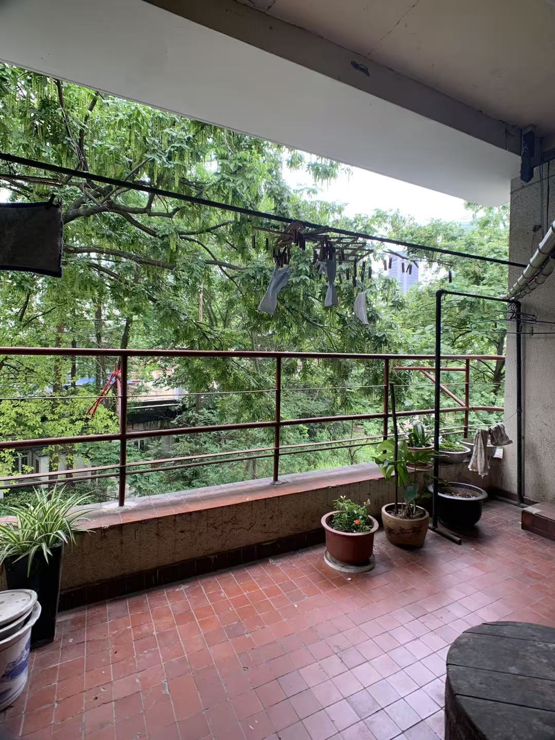 这是一套超级美的花园老公寓，三开间朝南   南北通透   朝南带大阳台